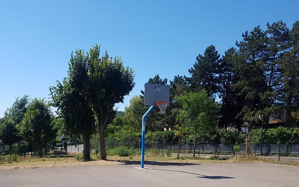 photo-terrain-basket